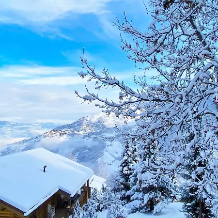 Chalet Digitalis *